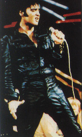 Photo of Elvis