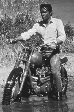 Photo of Elvis